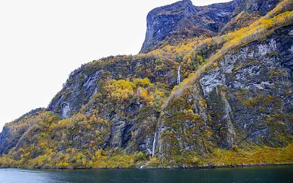 Nærøyfjorden Fjord Cruise