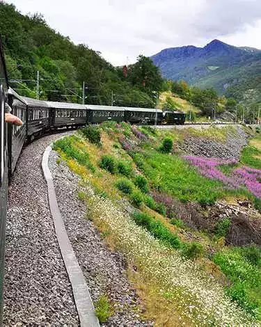 The Flåm Railway small image